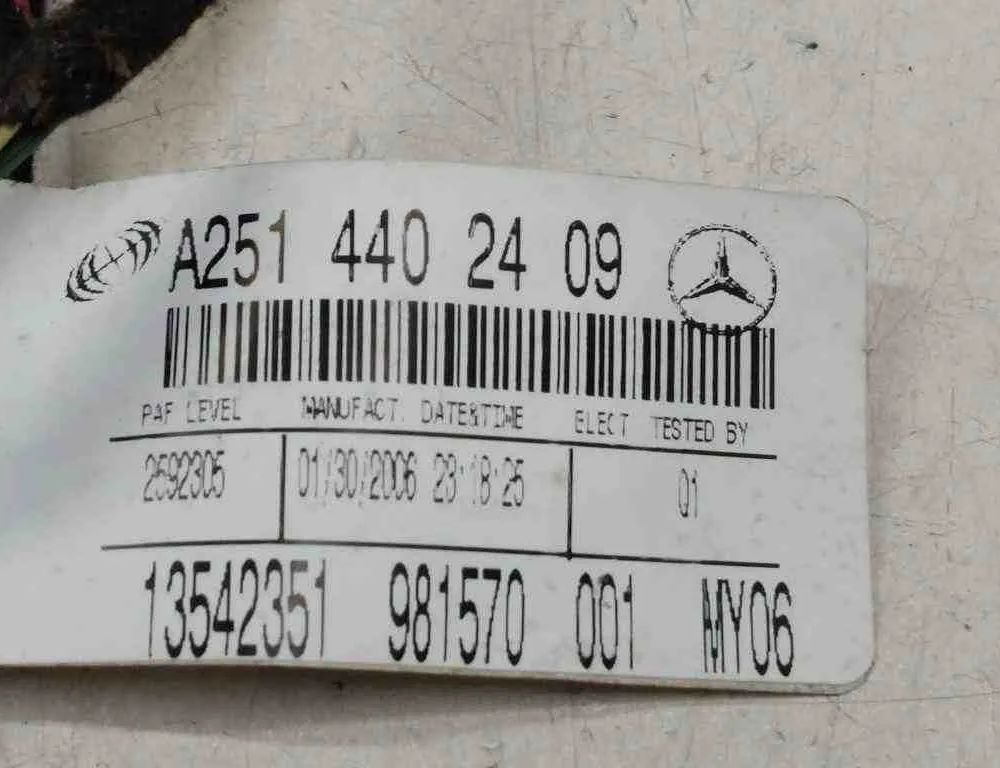 MERCEDES-BENZ R-Class W251 (2005-2017) Дверные кабели задние левые 2592305,A2514402409,981570001 32728517