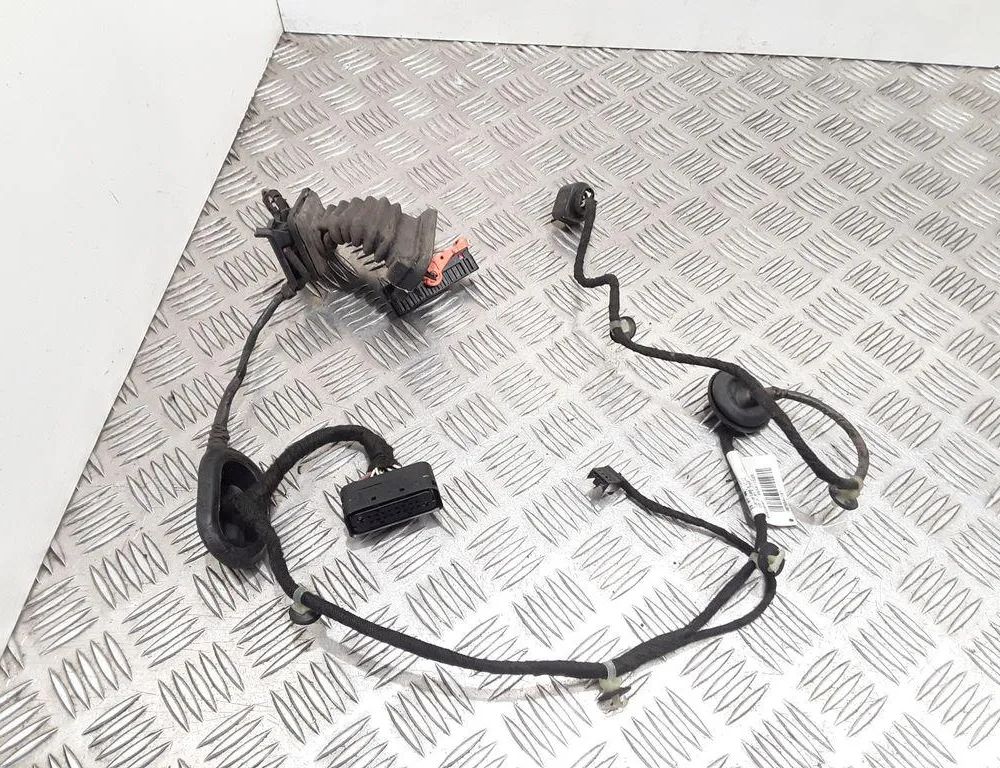 VOLKSWAGEN Passat B7 (2010-2015) Rear Left Door Wiring 3C4971693HL 32750187