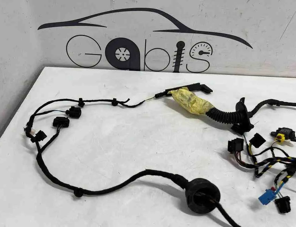 AUDI R8 2 generation (2015-2024) Дверные кабели передние левые 4S8971030B 32603449