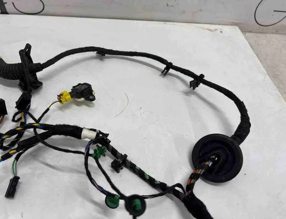 AUDI R8 2 generation (2015-2024) Дверные кабели передние левые 4S8971030B 32603449