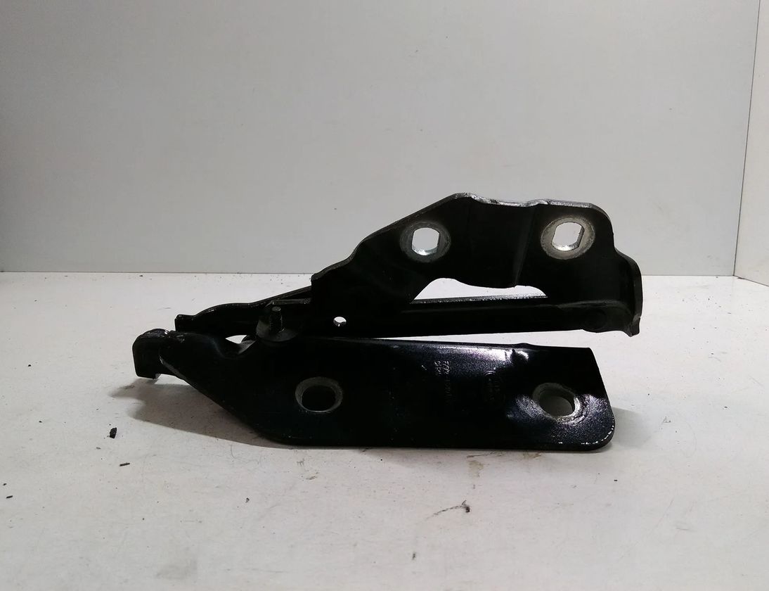 LAND ROVER Discovery Sport 1 generation (2014-2024) Ľavý predný pant kapoty FK7216801AE 28404509