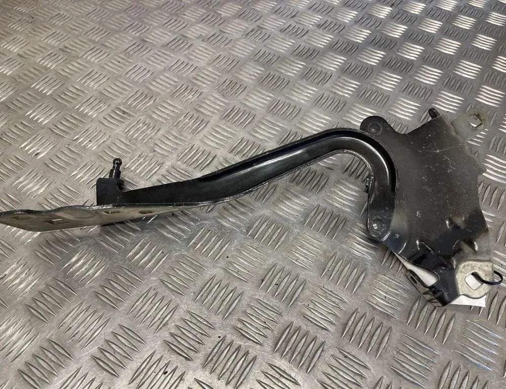 RENAULT Scenic 3 generation (2009-2015) Петля капота передняя левая 654010004R 31570180