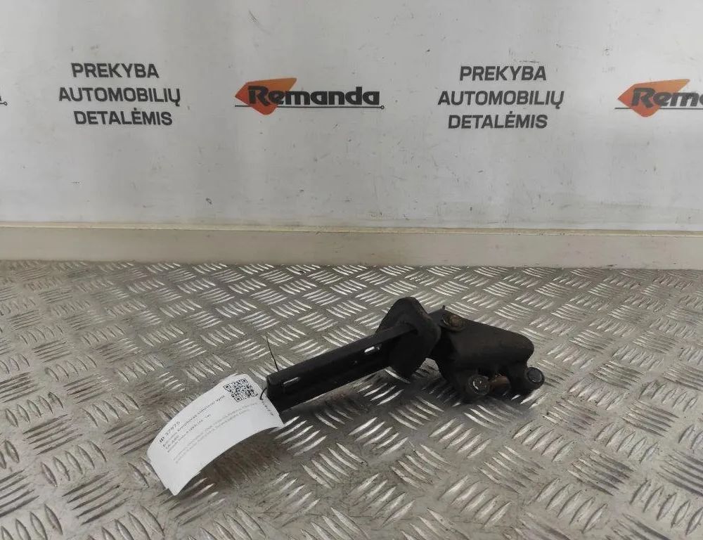 RENAULT Trafic 2 generation (2001-2015) Posuvné dvere pant 312372E,65715 31583579