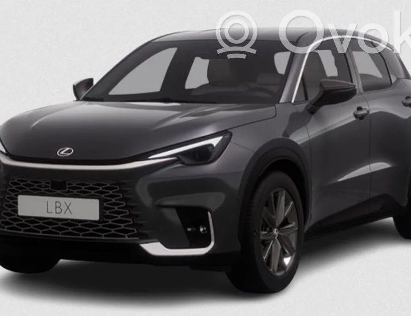 LEXUS LX 3 generation (2007-2024) Predná ľavá strešná rukoväť 8999730100 30186865