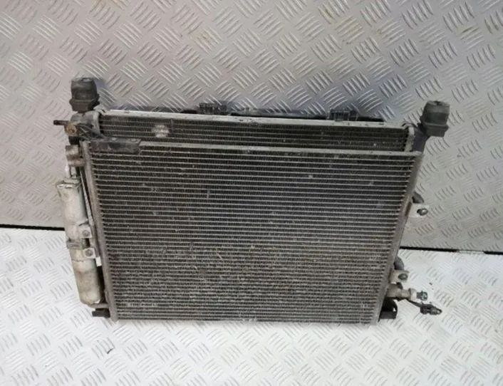 RENAULT Clio 3 generation (2005-2012) Система охлаждения 27892652