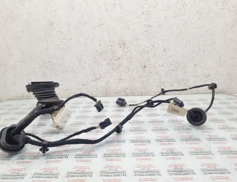 VOLKSWAGEN Passat B7 (2010-2015) Rear Left Door Wiring 3C4971693ED 31454835