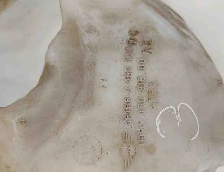 MINI Cooper R56 (2006-2015) Window Washer Tank 7157124 32608732