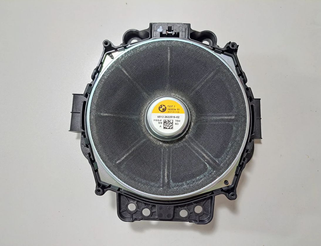 BMW X7 G07 (2018-2024) Низкочастотный динамик с правой стороны 2622516 31199084