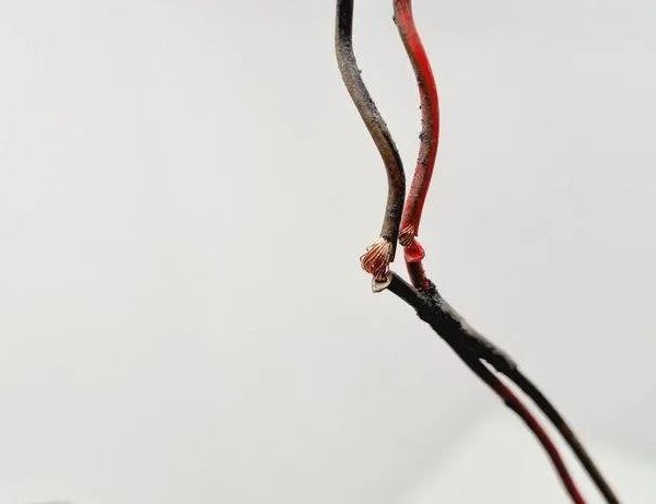 VOLKSWAGEN Passat B7 (2010-2015) Rear Left Door Wiring 3A0959737 31112048