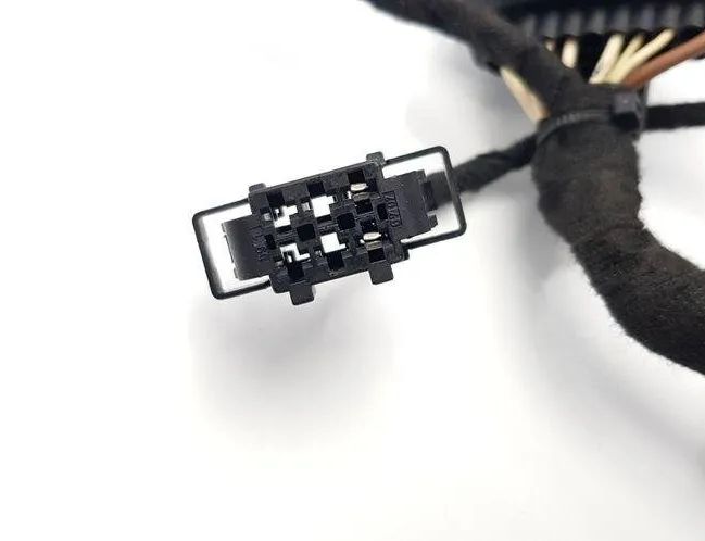 VOLKSWAGEN Passat B7 (2010-2015) Rear Left Door Wiring 3C4971693HN 31113995