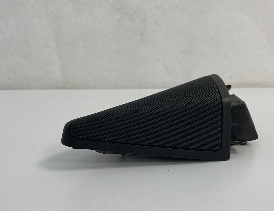 MERCEDES-BENZ CLS-Class C219 (2004-2010) Ľavý predný dverový reproduktor A2197250198 21744302