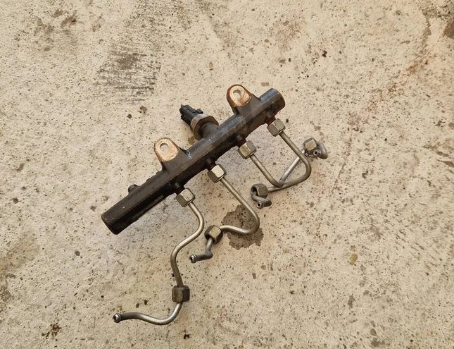 RENAULT Scenic 3 generation (2009-2015) Palivová lišta H8201225030,175213876R 28574483