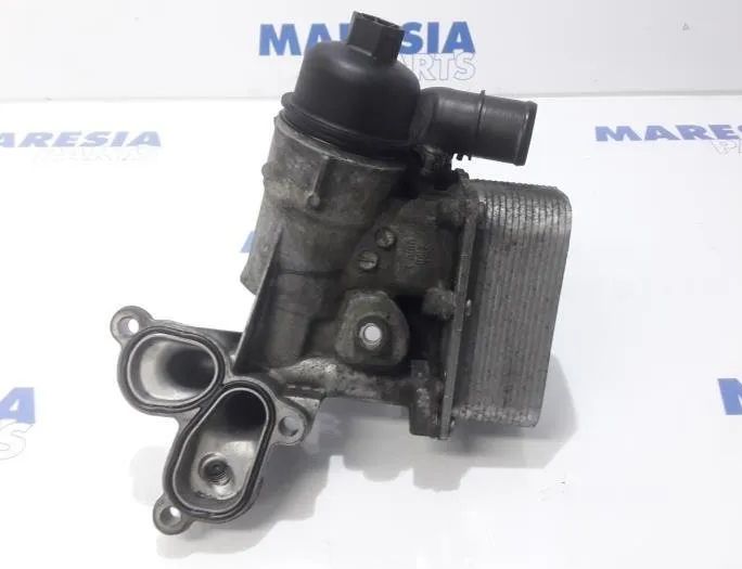 RENAULT Trafic 2 generation (2001-2015) Держатель масляного фильтра 8200797762,8200781898 27827160