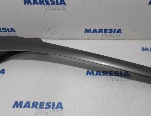 RENAULT Scenic 3 generation (2009-2015) Príslušenstvo Trim 768349558R,768346841R,20140904,T0000101575,40137468 27830440