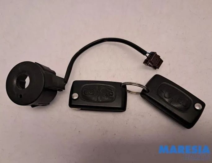 PEUGEOT 3008 1 generation (2010-2016) Блок управления двигателем 9666895680,0261S04616,9666325380,9663123380,1610807880,6160C1,1608504380,1669607480,1611717380,1617308380,1677623780,1608504480,96666319780 29506648