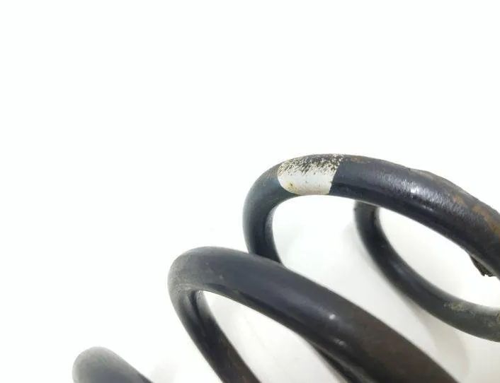 DACIA Sandero 1 generation (2008-2012) Pravá zadná vinutá pružina 22690396