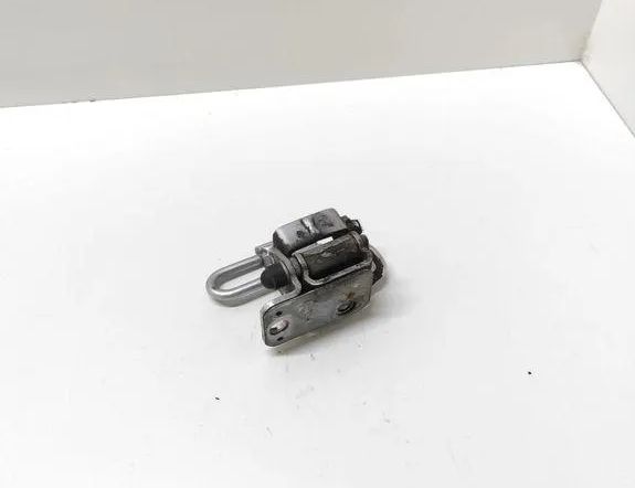 VOLKSWAGEN Passat B6 (2005-2010) Петля задней правой двери 3C8333412A 32961570