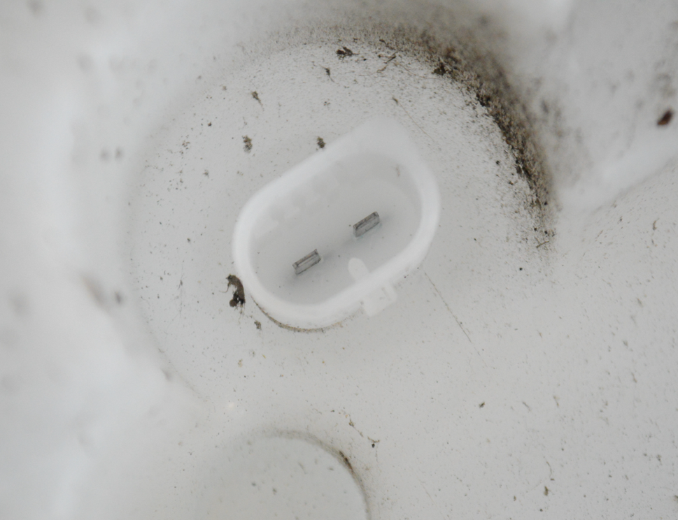 BMW 4 Series F32/F33/F36 (2013-2020) Nádrž na ostrekovač okien 7241679 20275244