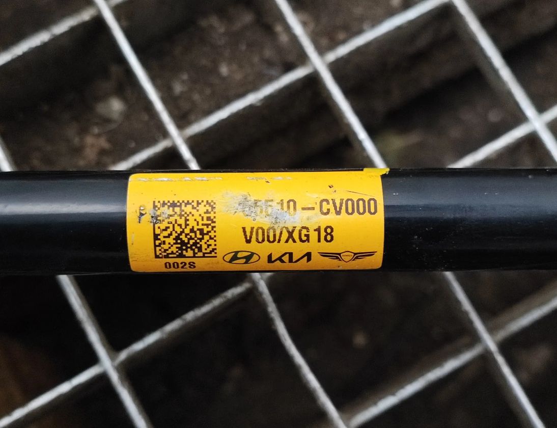 KIA EV6 1 generation (2021-2023) Стабилизатор задний 55510CV000,55510-CV000 28164357