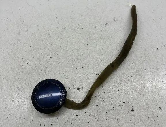 AUDI A6 C8/4K (2018-2024) Антенна 4B5919889 30589209