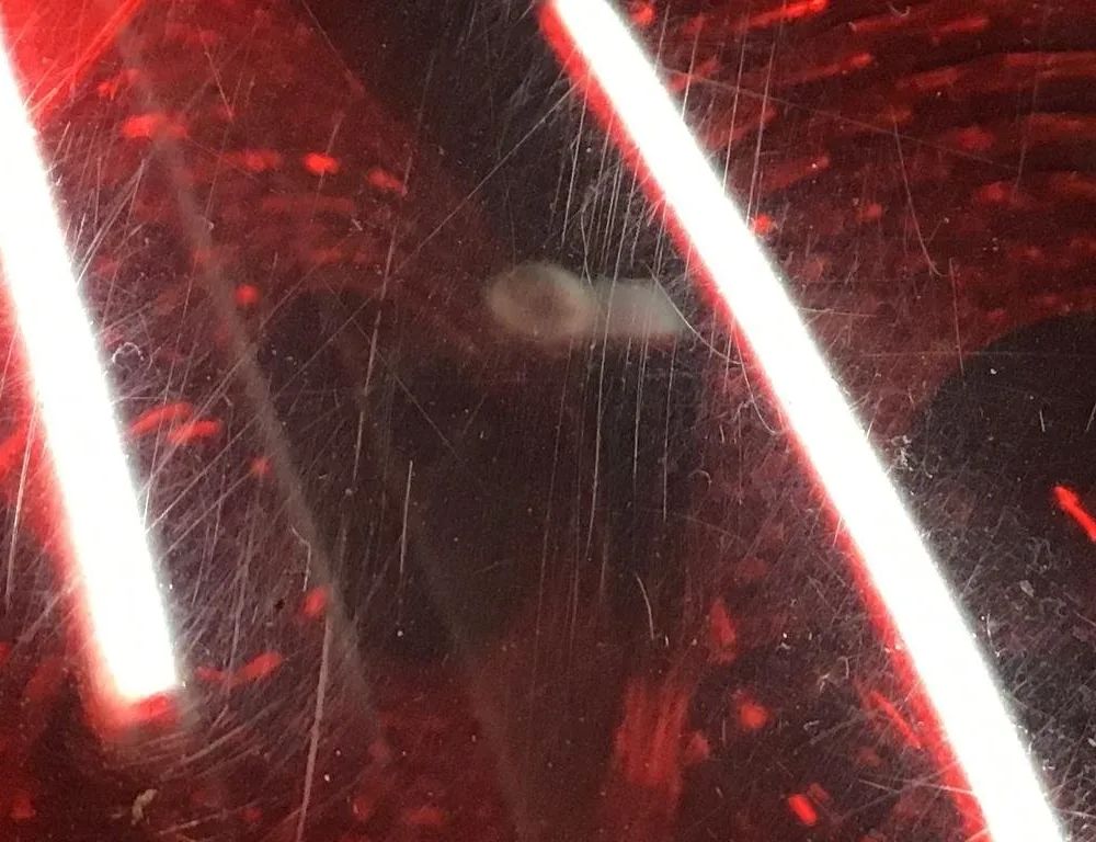 FORD Fiesta 6 generation (2008-2020) Ľavé zadné koncové svetlo 8A61-13405-A 30236285