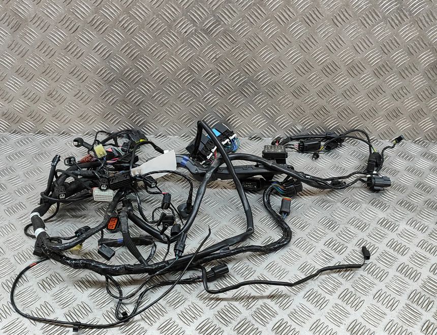 TRIUMPH Street 1 generation (2018-2023) Жгут 2507125 28390733