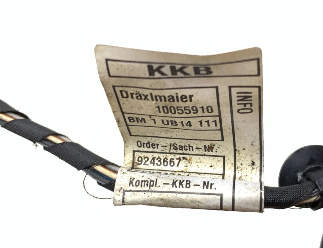 BMW X3 F25 (2010-2017) Rear Right Door Wiring 9243664 31874573