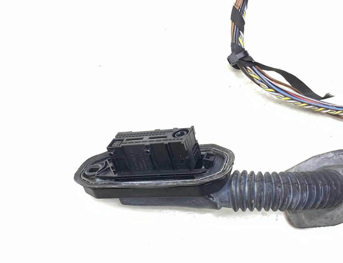 BMW X3 F25 (2010-2017) Rear Right Door Wiring 9243664 31874573