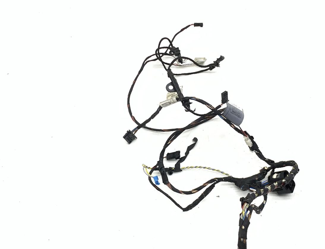 BMW X3 F25 (2010-2017) Rear Right Door Wiring 9243664 31874573