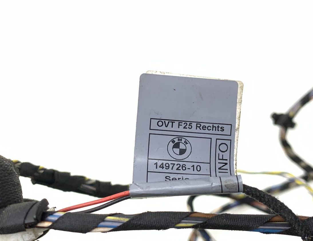 BMW X3 F25 (2010-2017) Rear Right Door Wiring 9243664 31874573