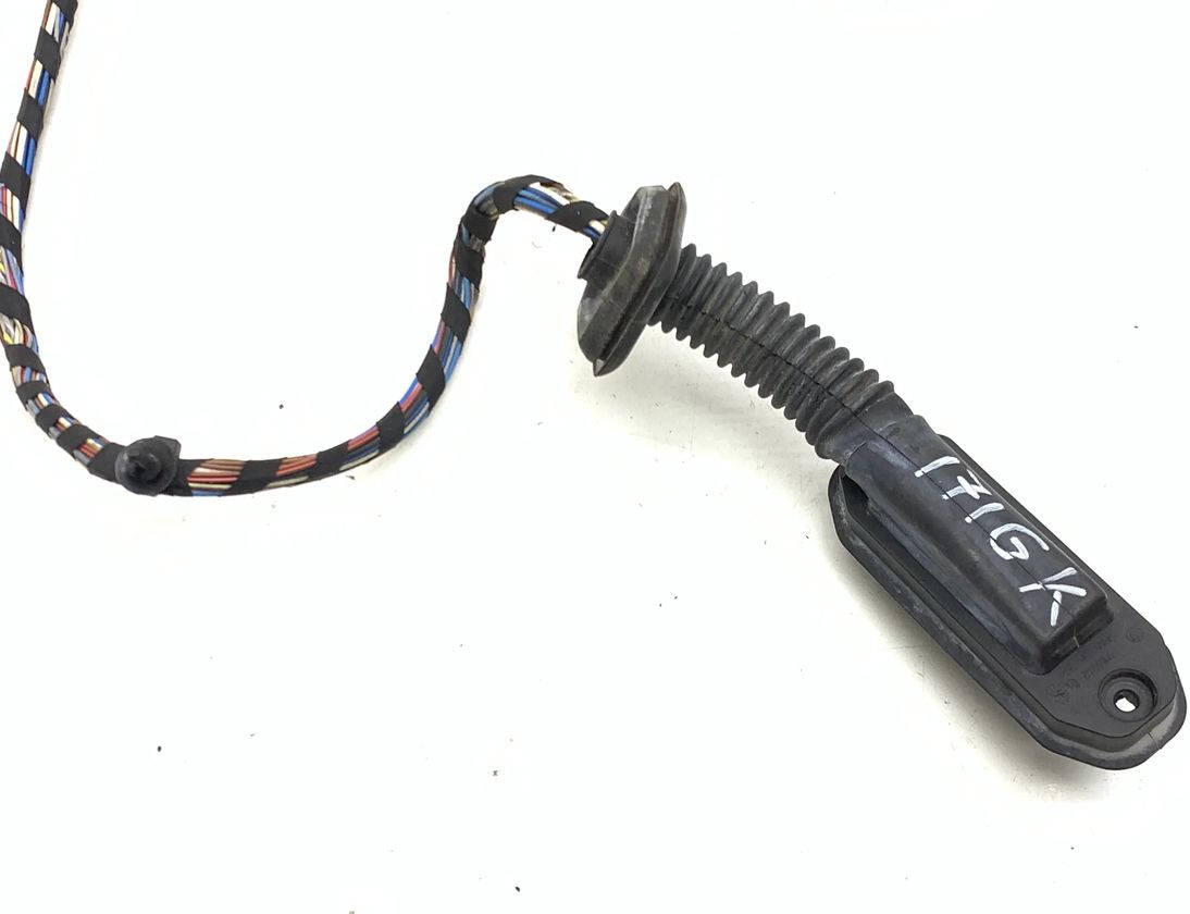 BMW X3 F25 (2010-2017) Дверные кабели задние левые 9243667 31874576