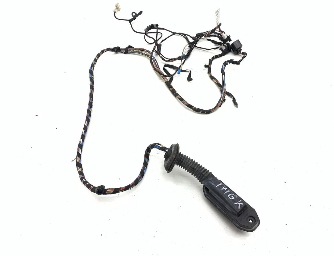 BMW X3 F25 (2010-2017) Дверные кабели задние левые 9243667 31874576