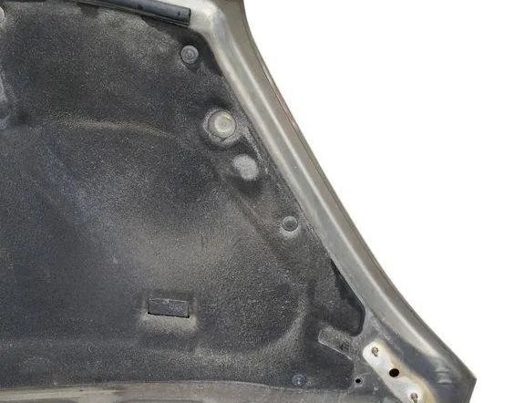 CITROËN C4 Picasso 1 generation (2006-2013) Kapota 31877808