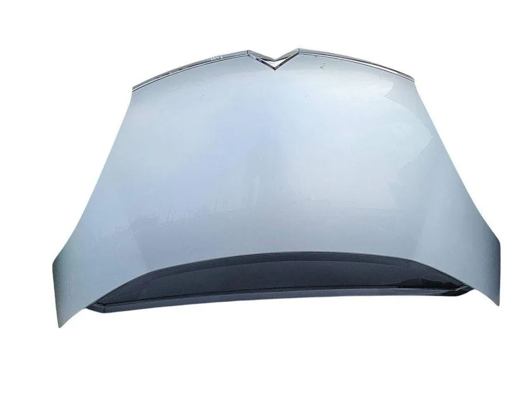 CITROËN C4 Picasso 1 generation (2006-2013) Kapota 31881401