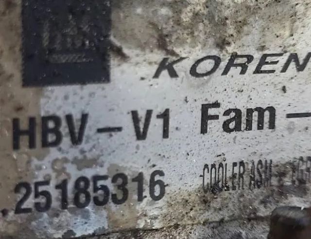 OPEL Antara 1 generation (2006-2015) EGR ventil 25185316 33005944