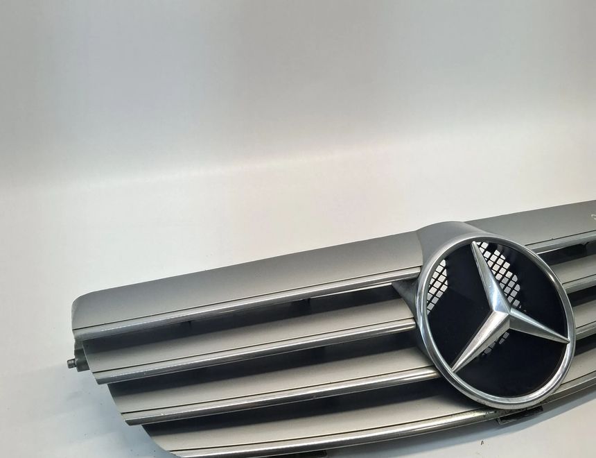 MERCEDES-BENZ CLK AMG GTR C297 (1997-1999) Mriežky A2098800183,A2098800123 27213467