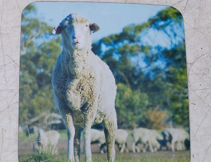 IVECO Daily 4 generation (2006-2011) Pravé zadné dvere okenné sklo REARRIGHT,AS2M68DOT24,AS2M68DOT24,E643R-00048,E643R00048 26604702