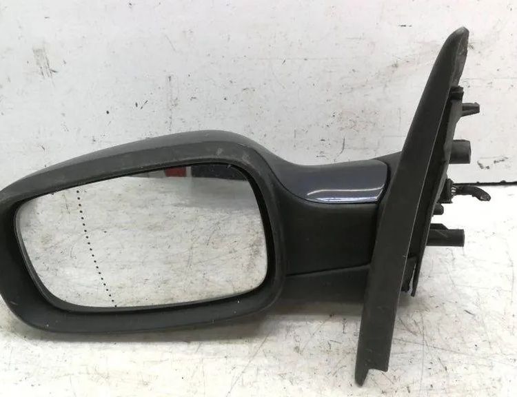 RENAULT Clio 3 generation (2005-2012) Зеркало передней левой двери E20104016 30442525