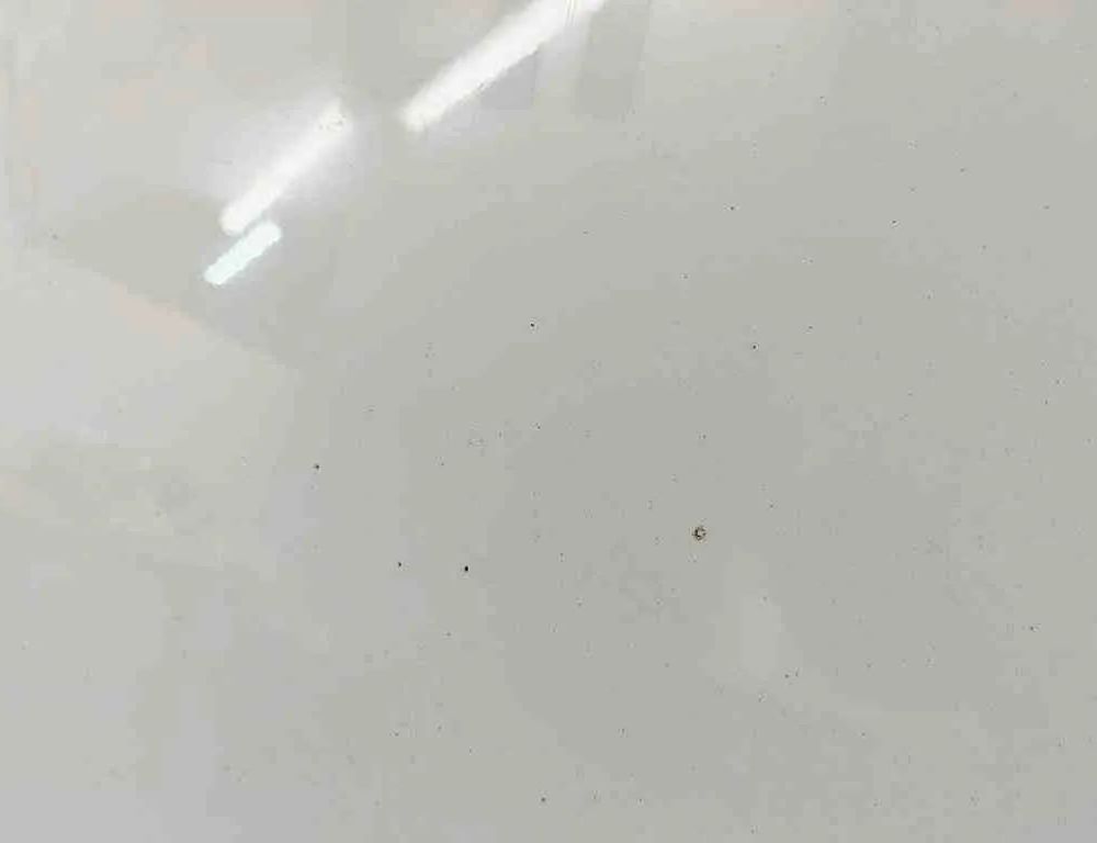 FIAT Talento 2 generation (2016-2020) Rear Right Door 32415902