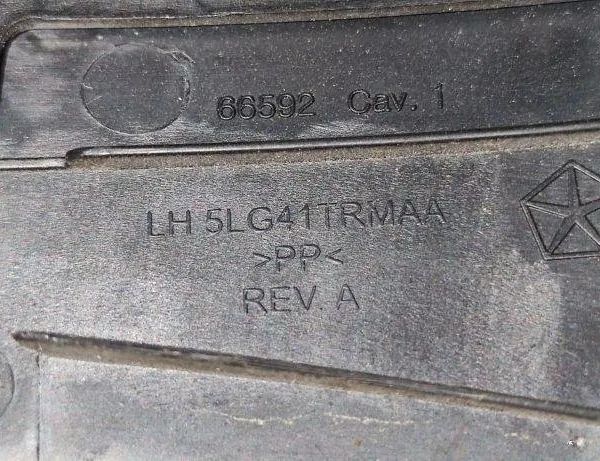 DODGE Challenger 3 generation (2008-2024) Rear Left Door Panel 5LG41TRMAA 30650043