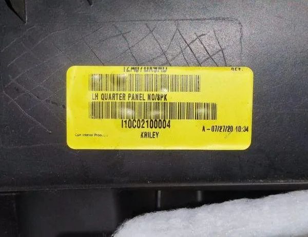 DODGE Challenger 3 generation (2008-2024) Rear Left Door Panel 5LG41TRMAA 30650043