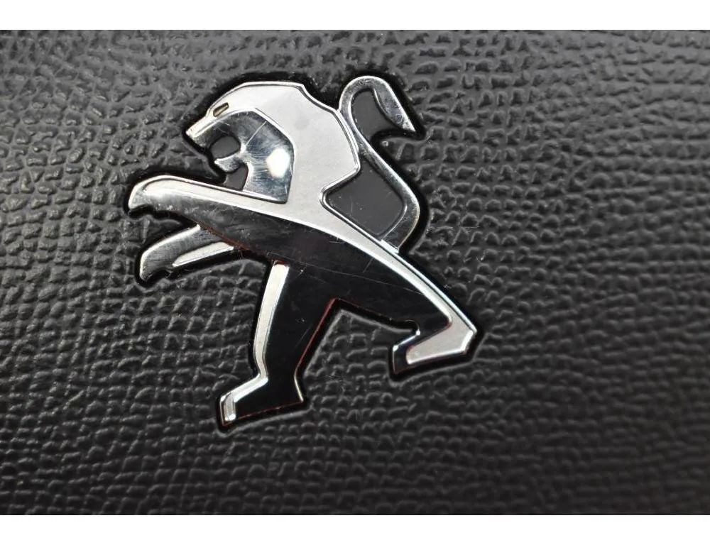 PEUGEOT 308 T9 (2013-2021) Подушка безопасности руля 96783105ZD 31859024