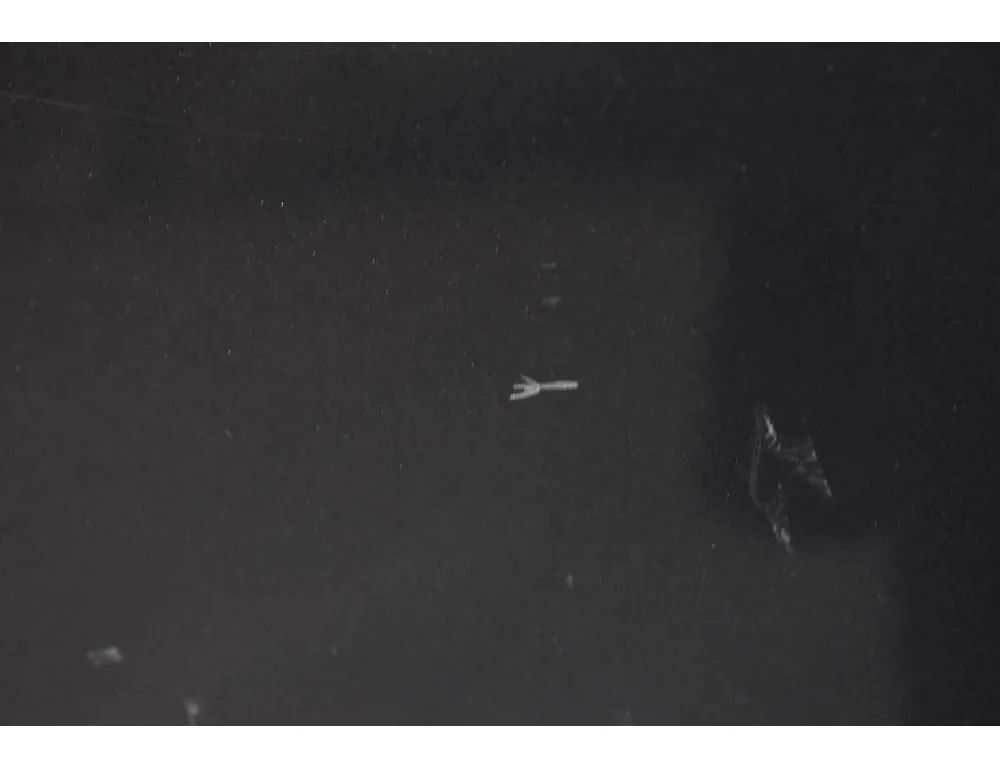 MAZDA Spiano 1 generation (2002-2008) Pravé zadné dvere 32974081