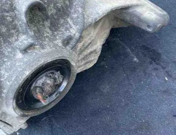 BMW 5 Series F10/F11 (2009-2017) Zadný diferenciál 7584452,EA311Y247,910009260170003 32448823