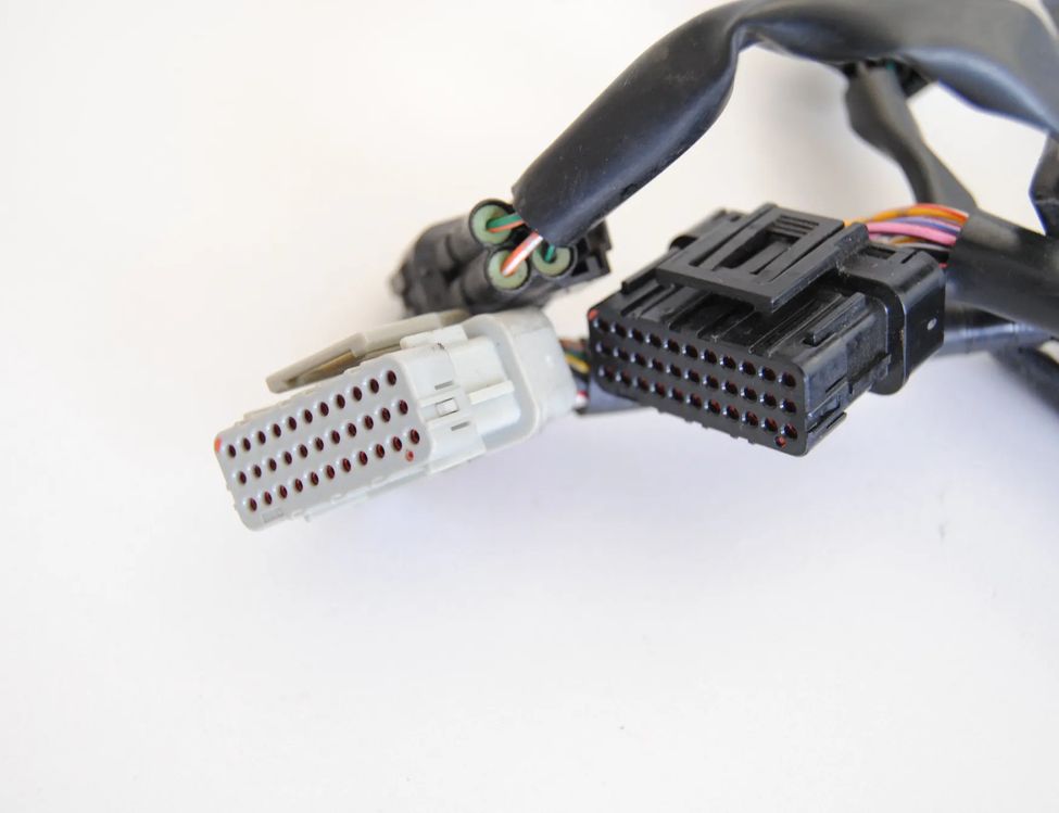 HONDA CBR (1983-2016) GG (2002-2007) Жгут 1550788