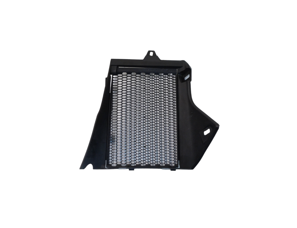 BMW R 1200 E70 (2006-2013) Cooling radiator grill Unavailable 22876176