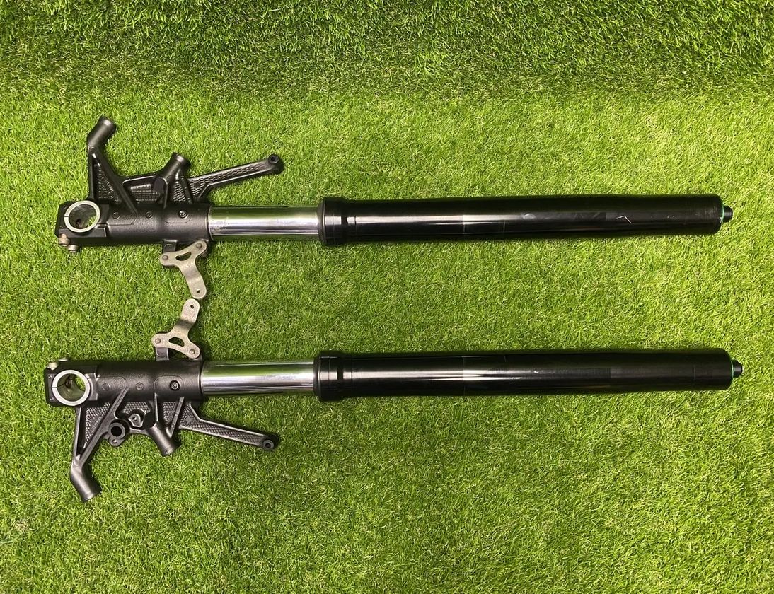 KAWASAKI ZZ-R (2012-present) Front fork shock absorbers set 15339683
