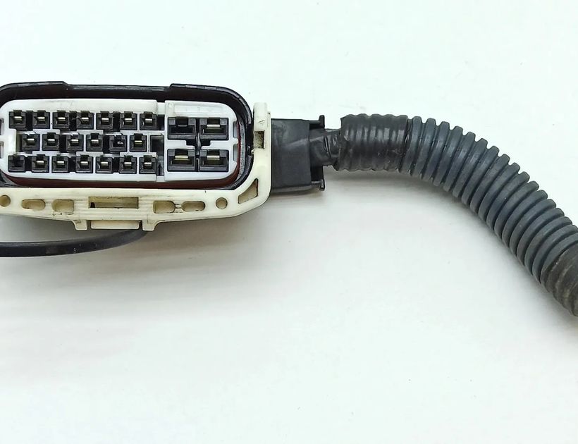 LEXUS LS 3 generation (2000-2006) Cable Harness LS430 30243204