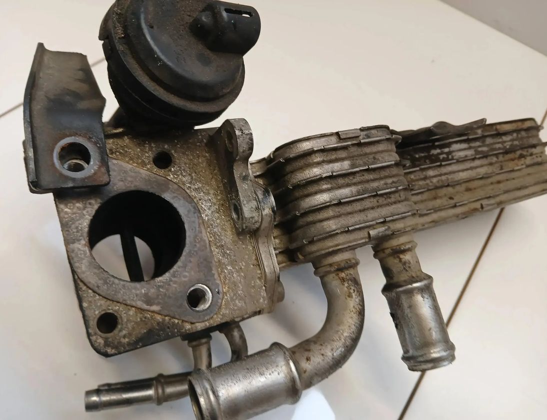 VOLKSWAGEN Touran 1 generation (2003-2015) EGR Cooler 038131513AD 29745621