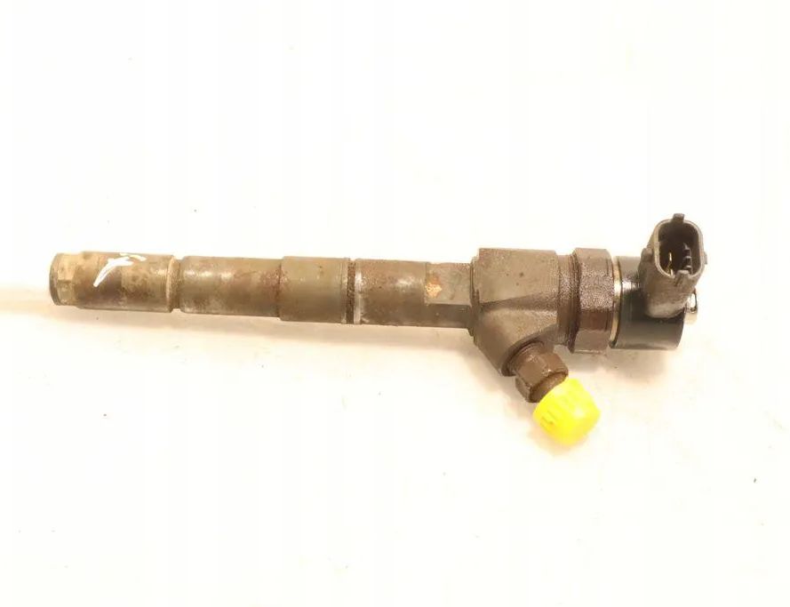 FIAT Bravo 2 generation (2007-2011) Fuel Injector 0445110300 32916618